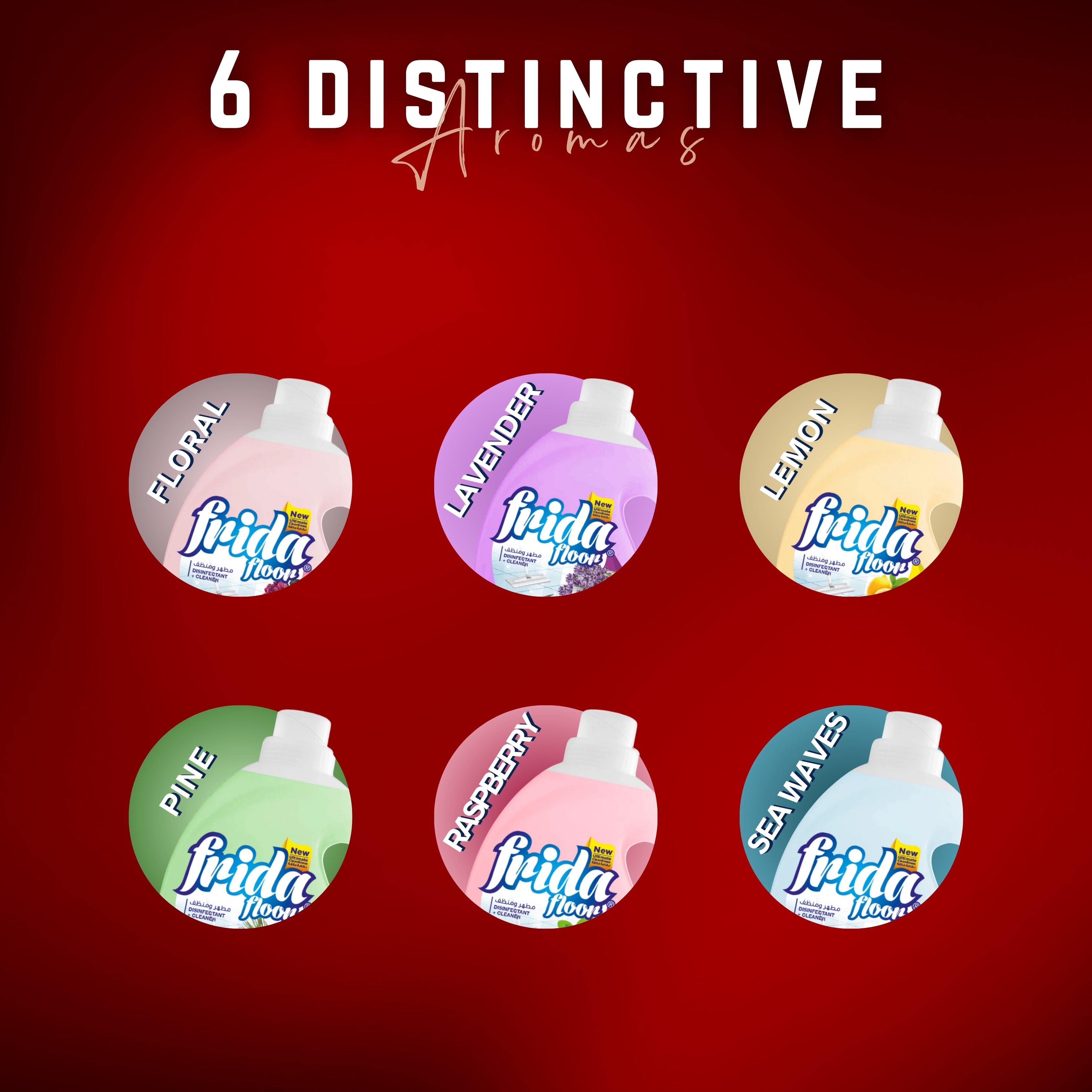 Frida Pembasmi Kuman &amp; Pembersih Lantai