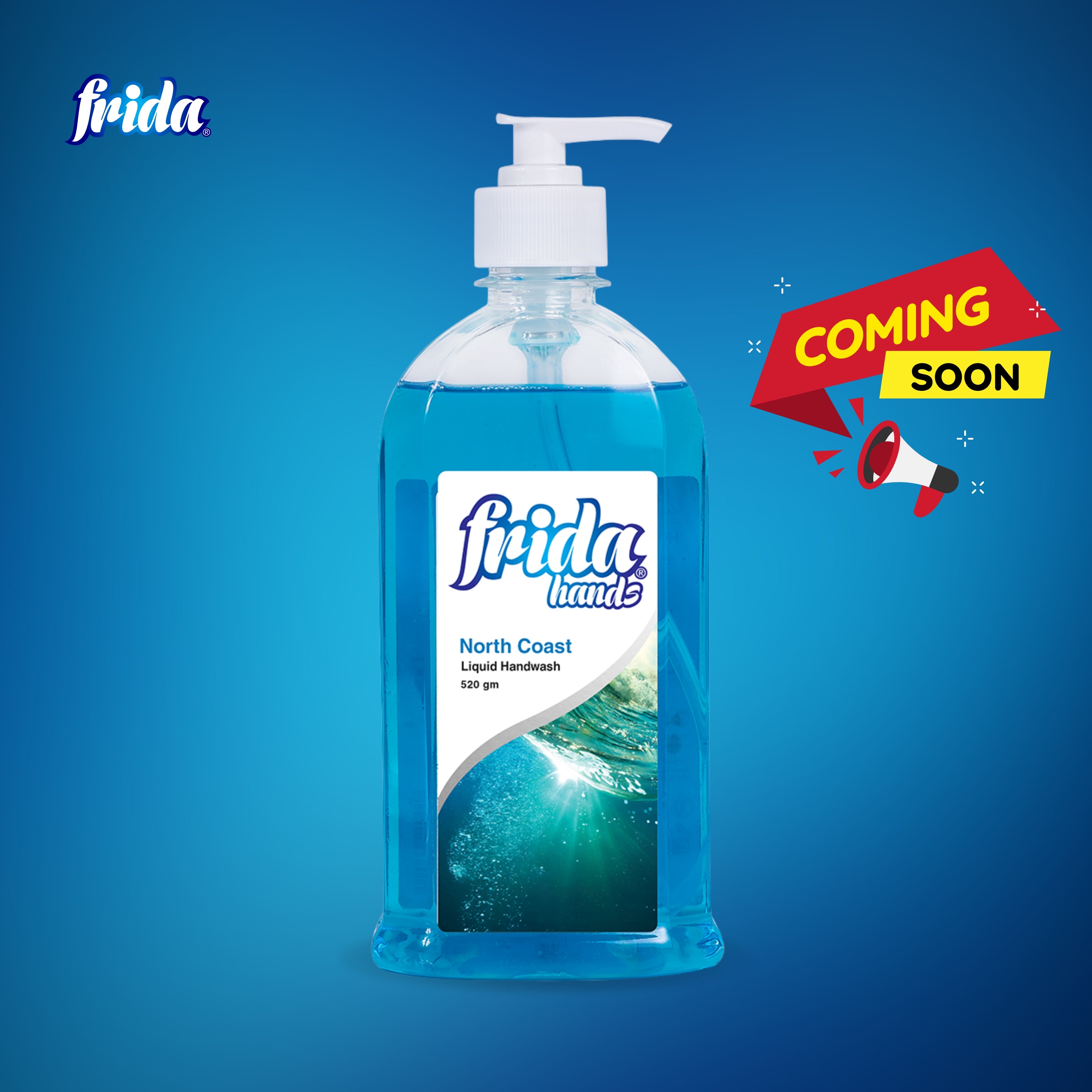 Frida Liquid Hand Wash – North Coast (520ml)