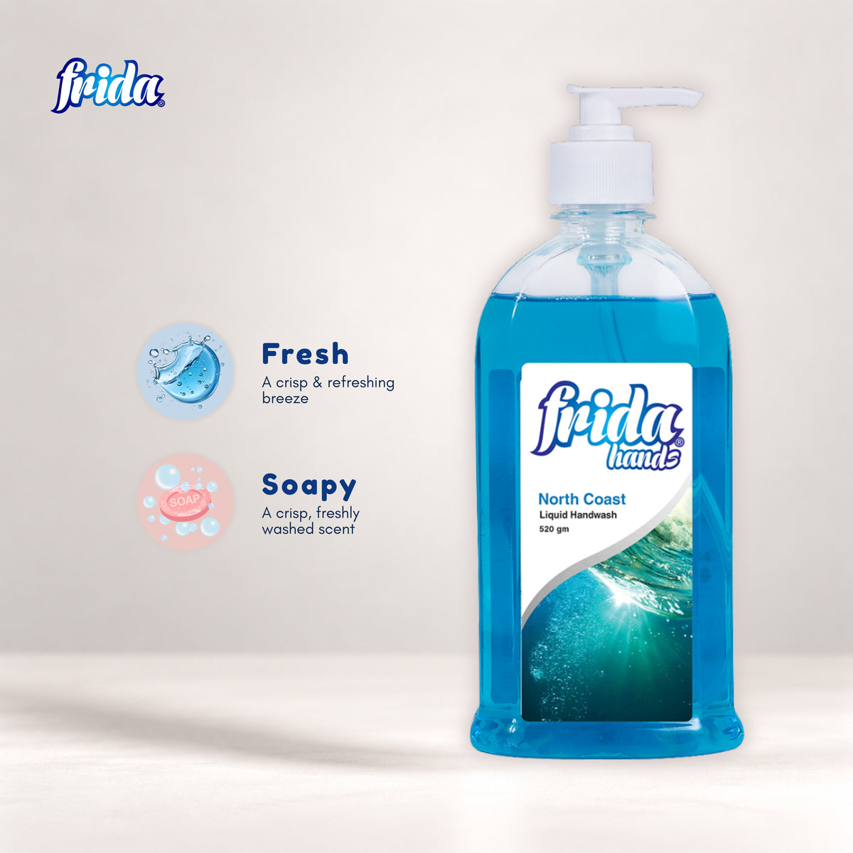Frida Liquid Hand Wash – North Coast (520ml)
