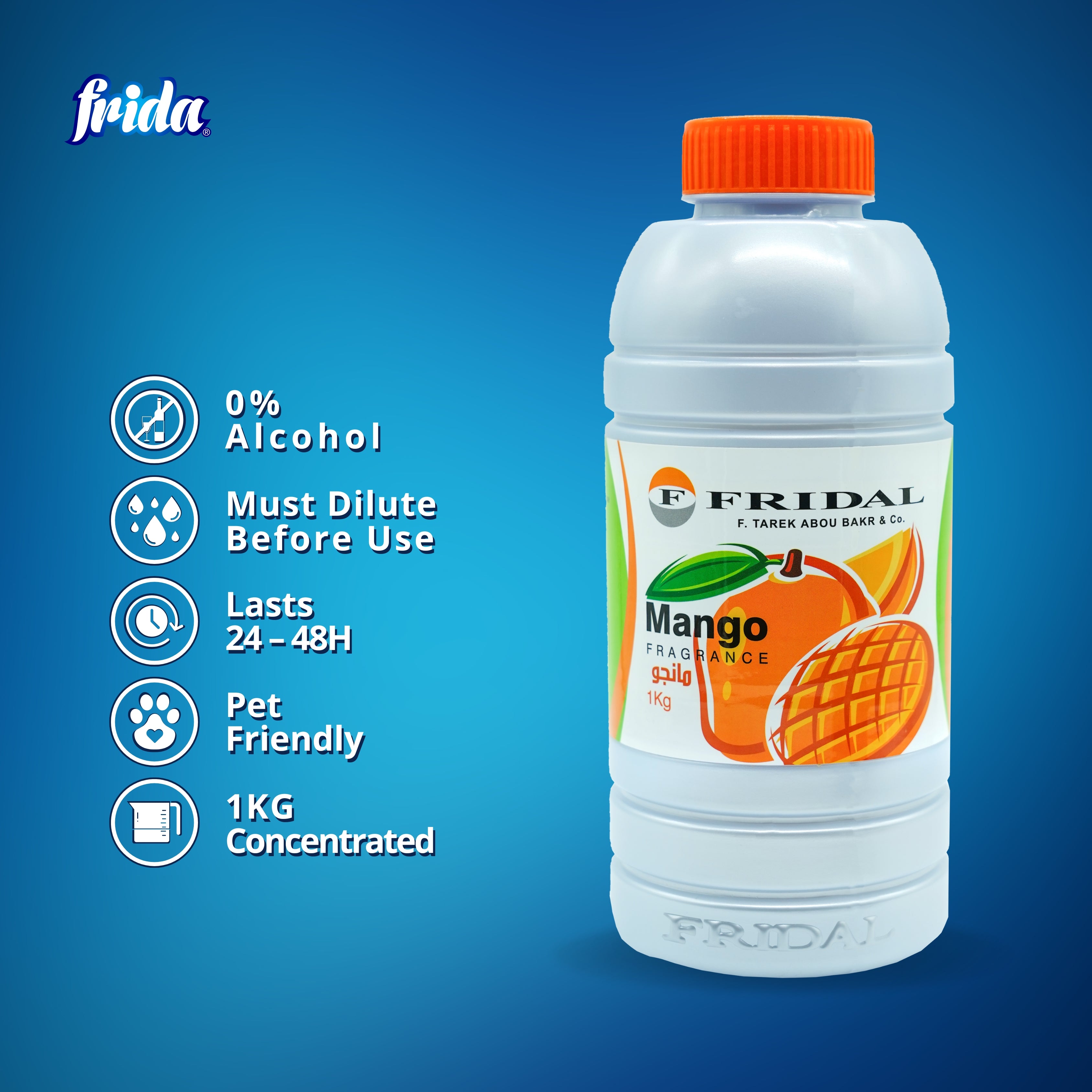 Frida Mopping Soap – Mango (1kg)