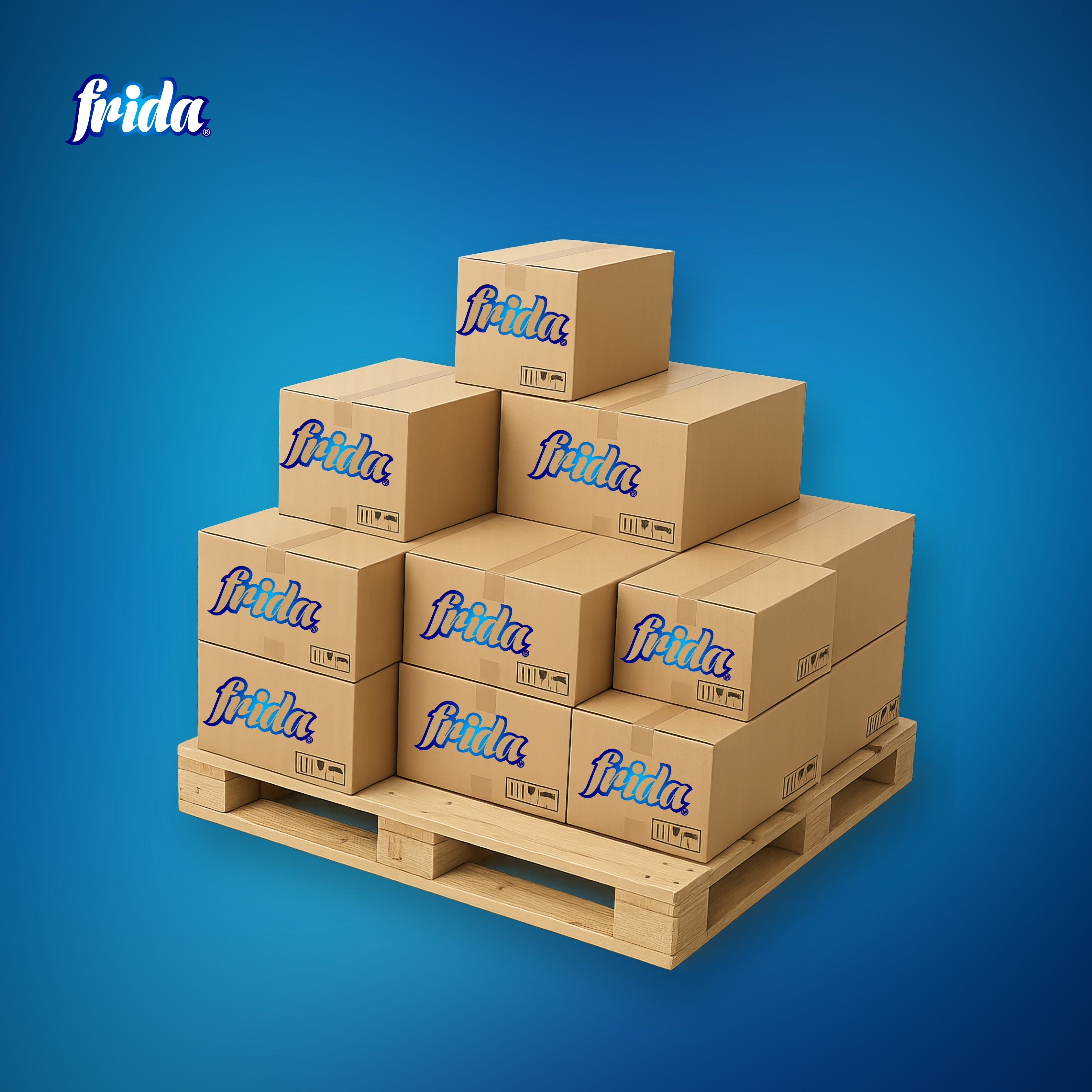 Branded Carton - Frida (405x393x287mm)